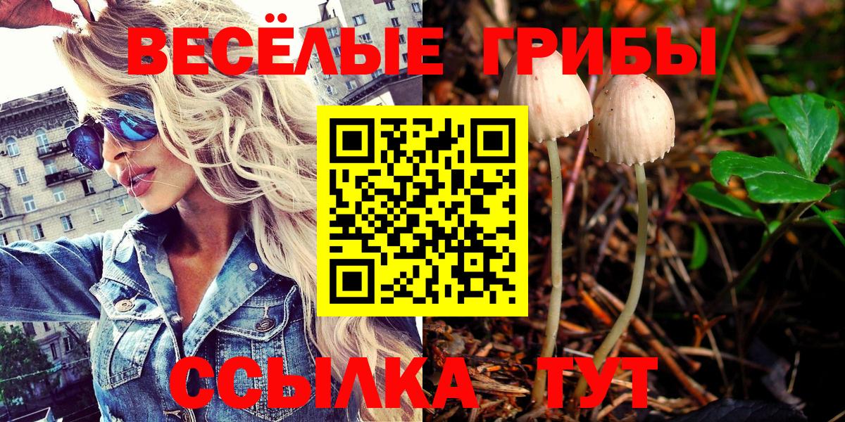 Галлюциногенные грибы мицелий  что такое наркотик  Вход с VPN  Белебей  Галлюциногенные грибы Psilocybine cubensis 